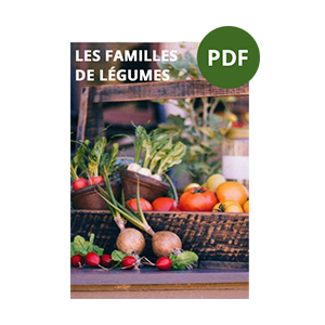guide numerique les familles de legumes